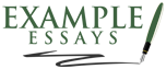 Example Essays